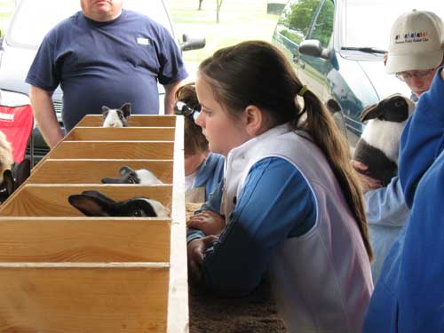 youth table